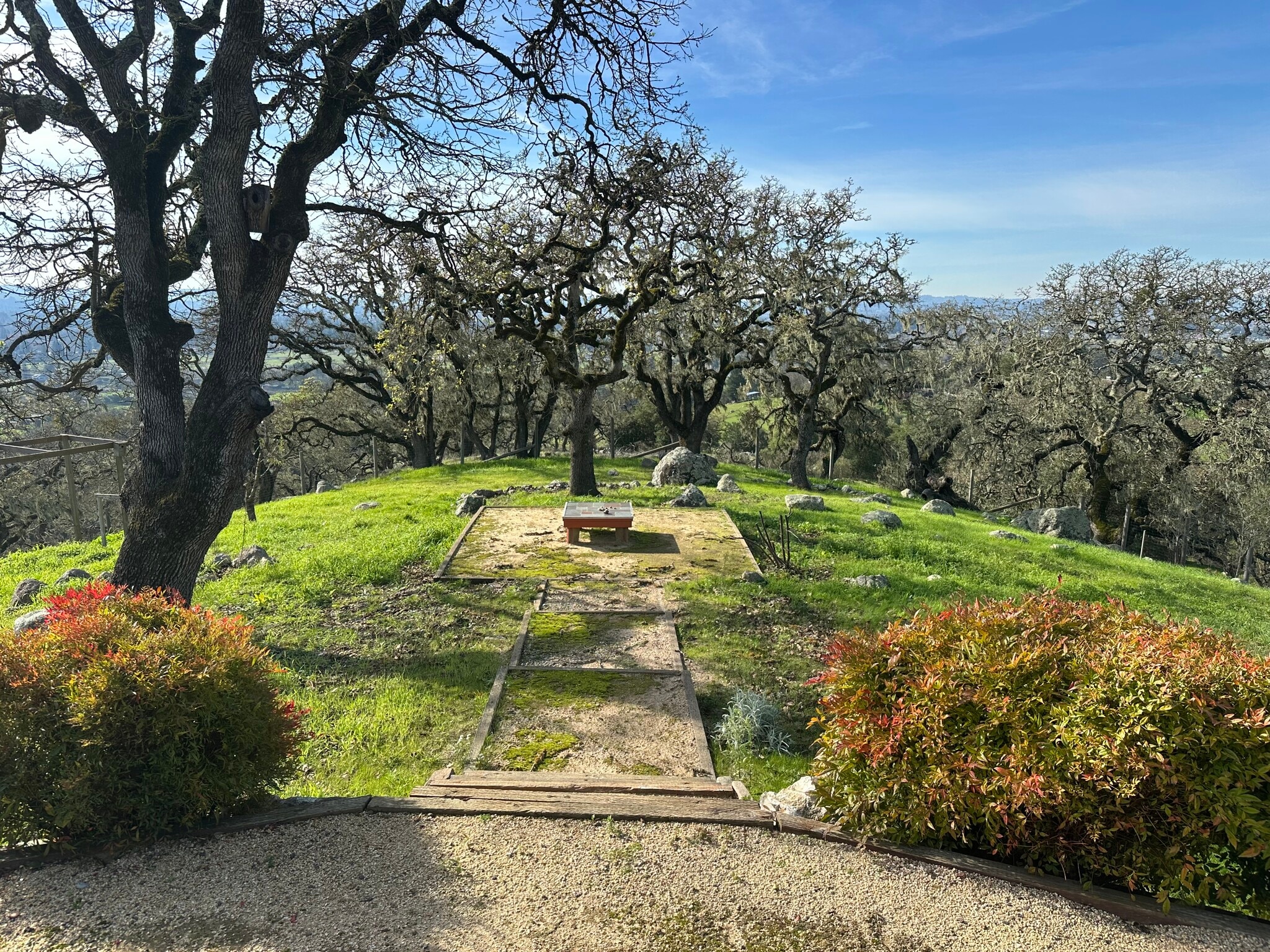 Garden area - 1000 Warrington Rd