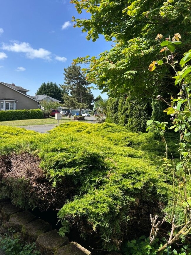 Building Photo - 3Bd/1.75Ba Kent House