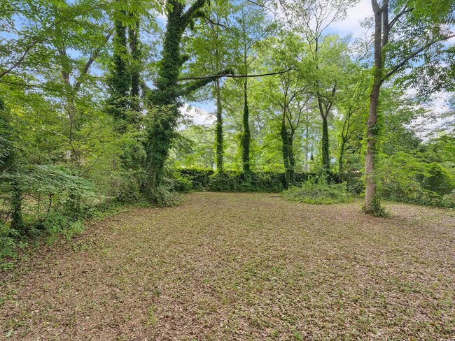 Back Yard - 2540 Joe Jerkins Blvd