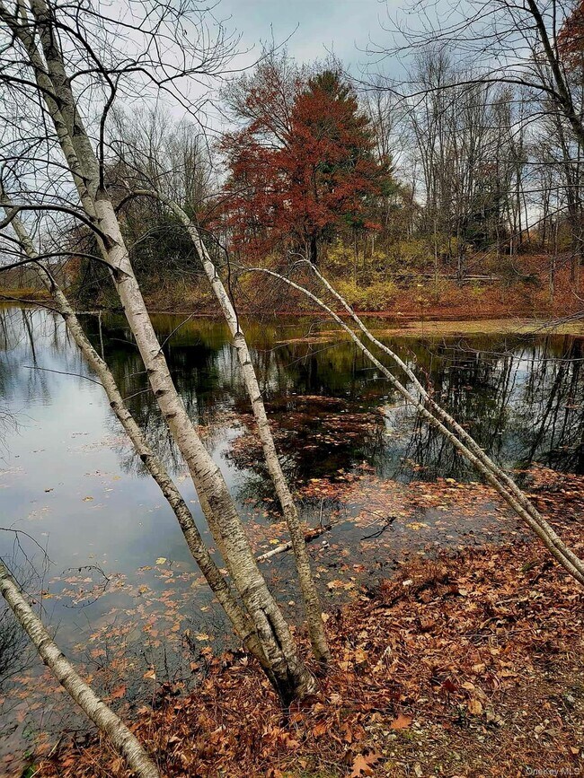 Building Photo - 461 NY-199