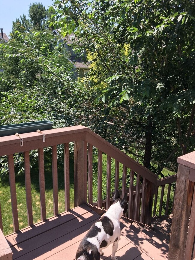 Building Photo - Adorable 2 bed/2 bath home in Southwest Longmont!