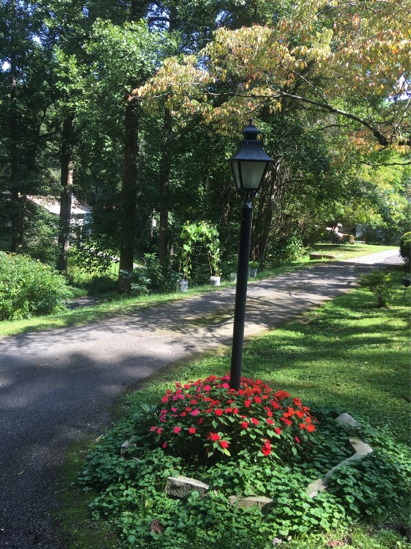 Building Photo - 422 Laurel Ave