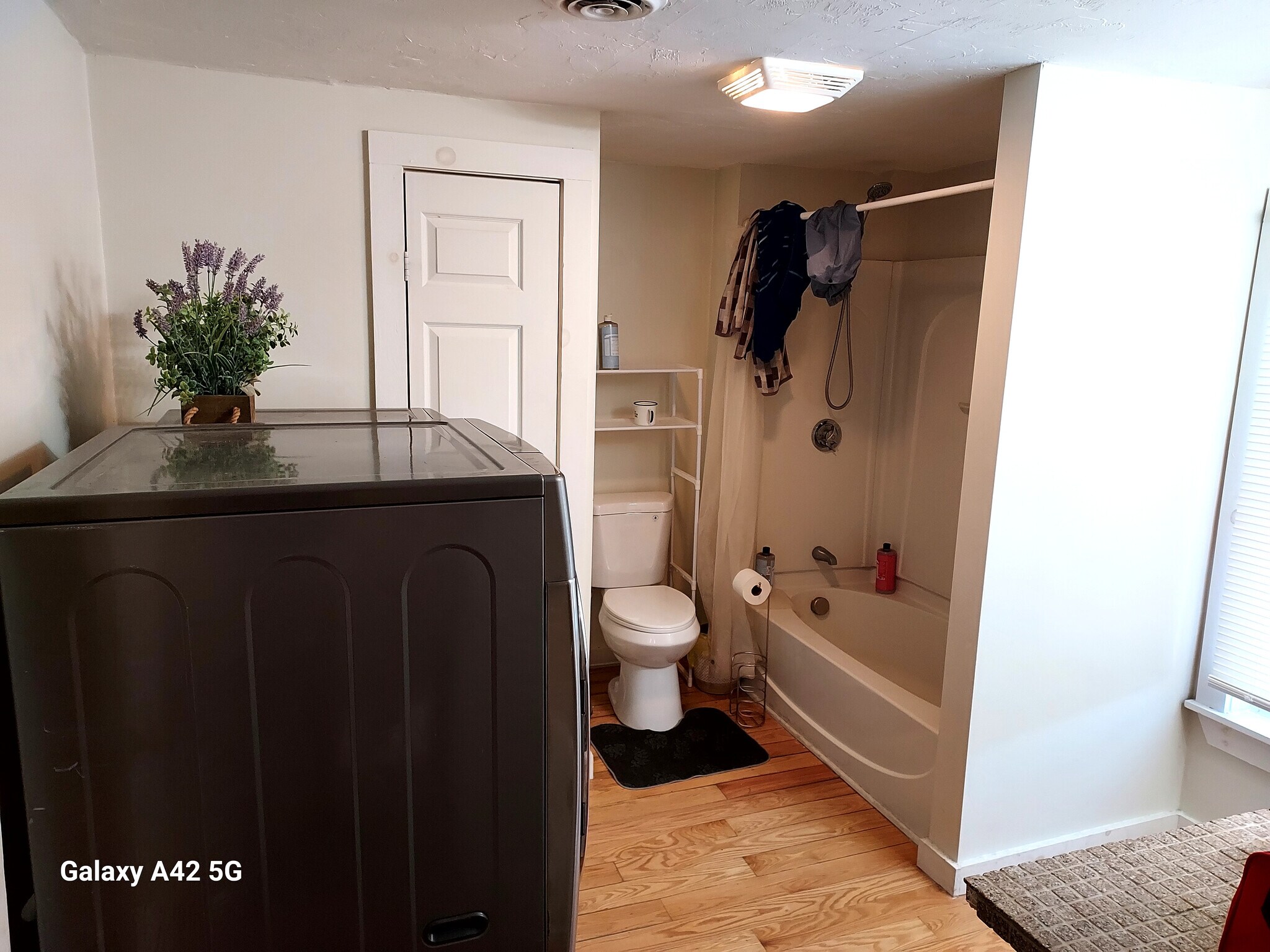 Building Photo - 64 Chase Ave