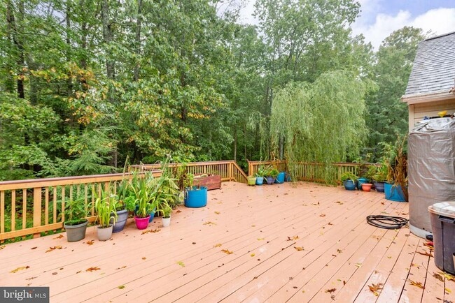 Building Photo - 53 Bloomington Ln