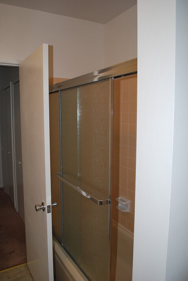 Bathroom Shower Door - 236 S Mentor Ave
