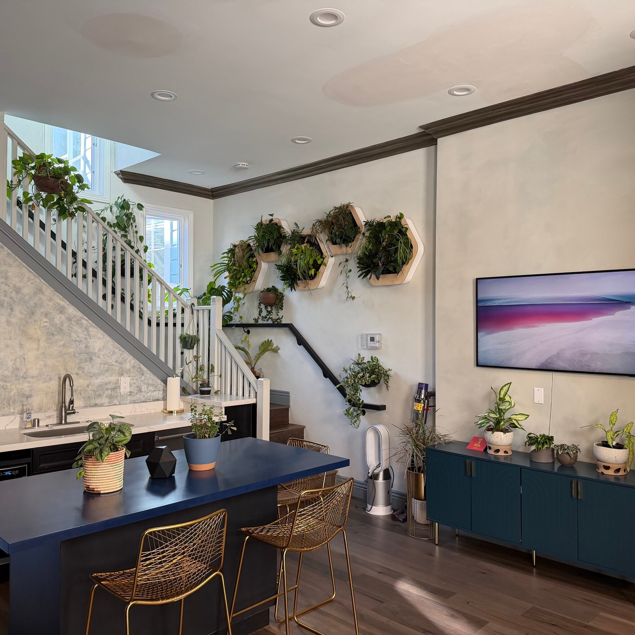 open space living area - 131 Wilmot St