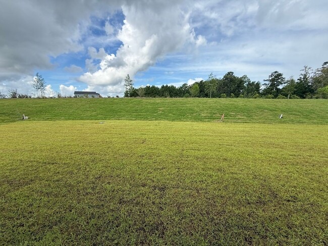 Building Photo - 3 Bedroom 2.5 Bath House in Hawthorne Land...