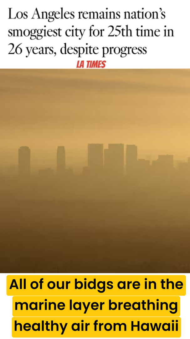 Interior Photo - Esplanade