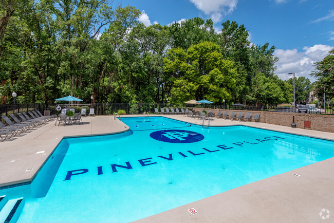 Sparkling Pool - Pineville Place