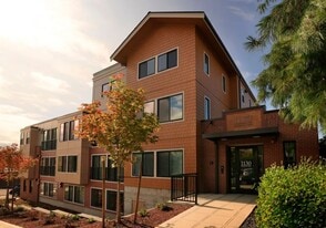 Building Photo - Orca 2