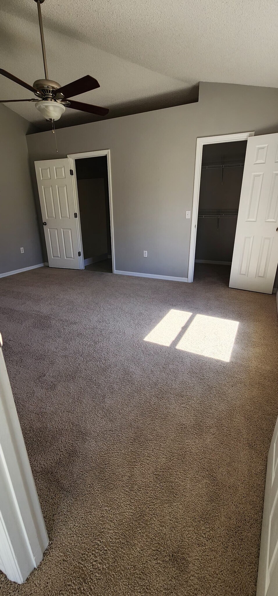 Building Photo - 1231 Apopka Ln