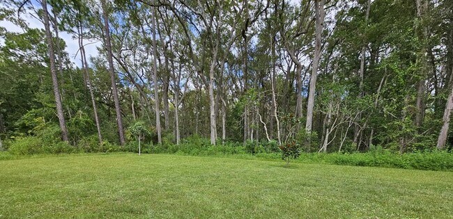 Building Photo - ****Beautiful 4/2 home in Palm Coast