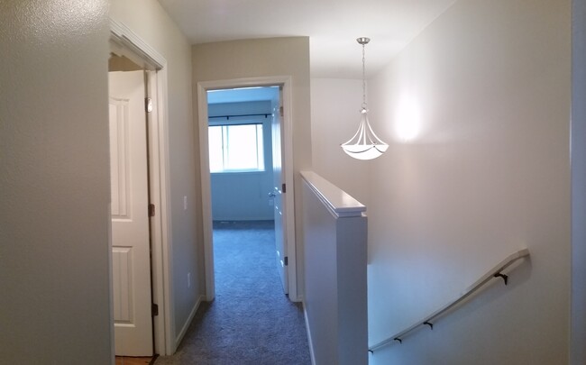 New Lighting - 1211 Balfour Dr