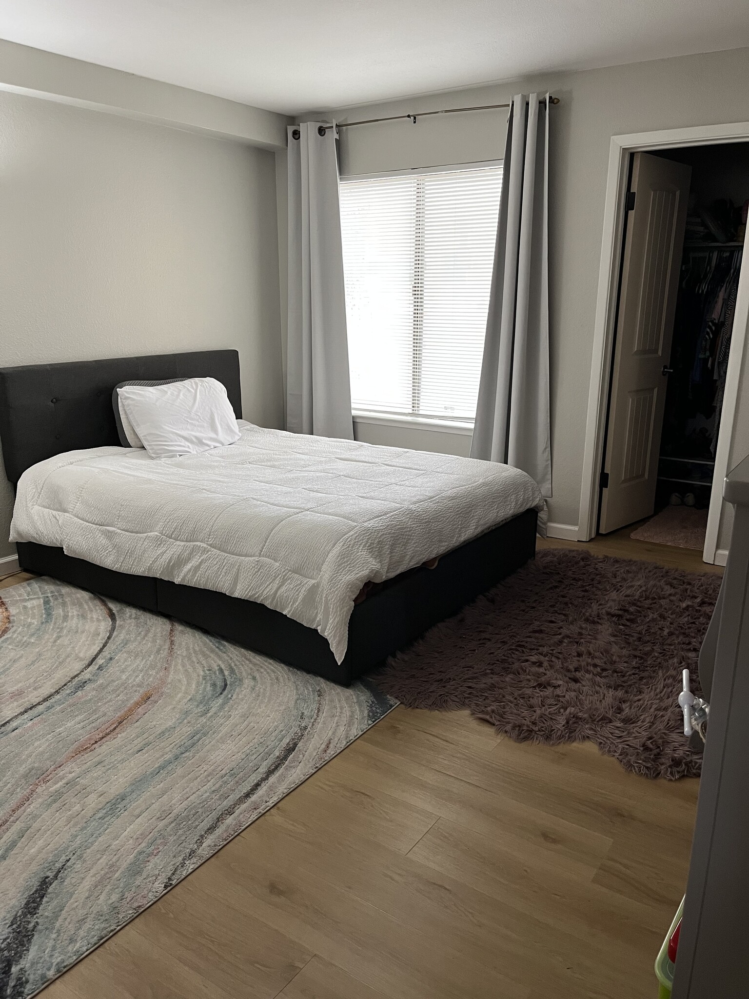 Master bedroom w/ walking closet - 3870 E Leonesio Dr