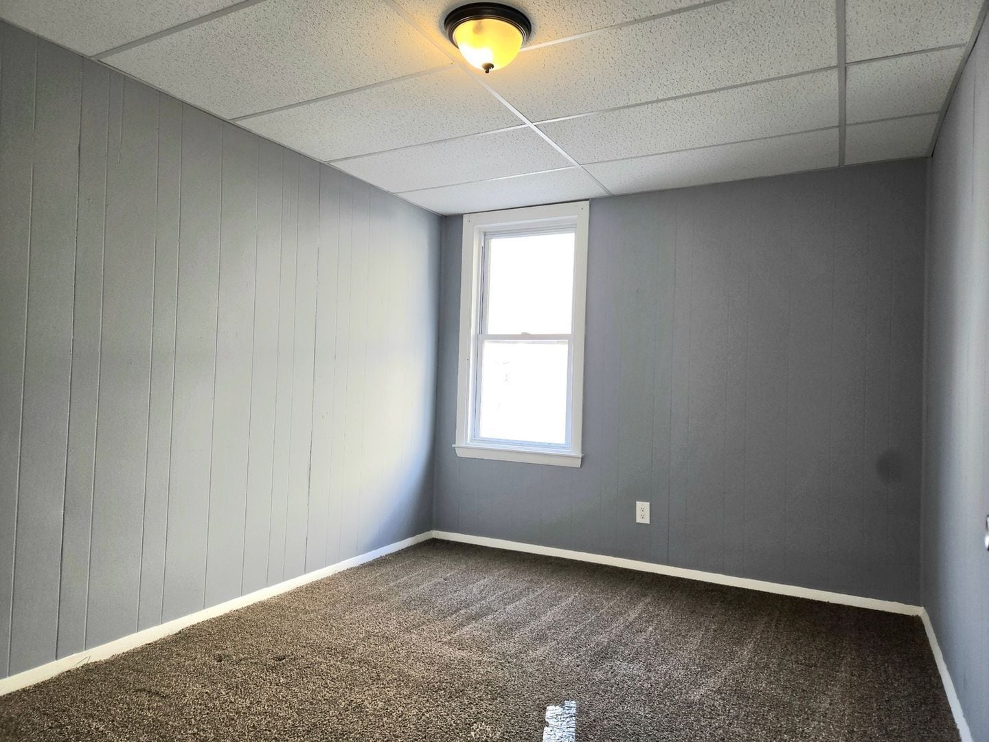 Building Photo - 48 Rocliffe St