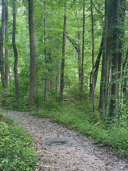 Walking/ running trails within 5 blocks - 817 Elysian Ave