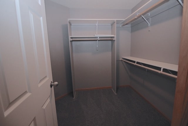 Building Photo - 8931 Broken Spoke Dr