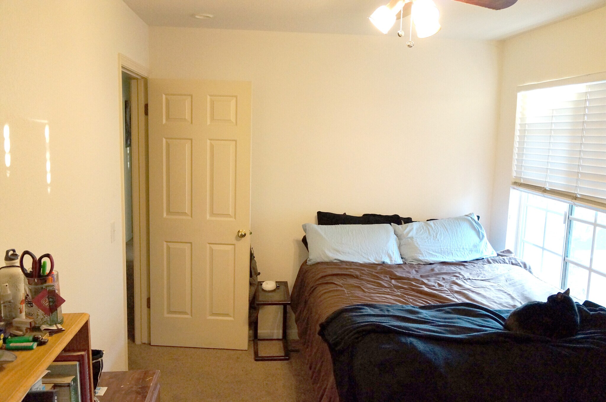 Building Photo - 742 Jacob Ct