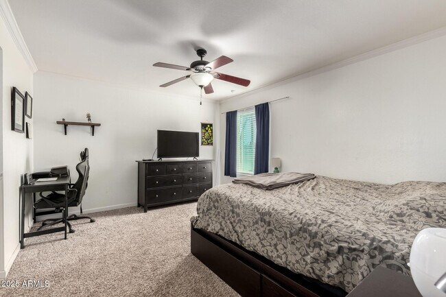 Building Photo - 1927 E Hampton Ave