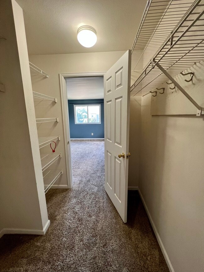 Building Photo - 4670 White Rock Cir