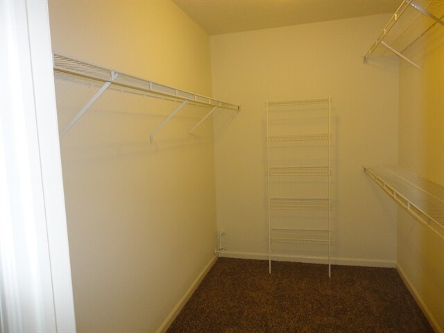 Building Photo - 3102 E Springmeadow Ln