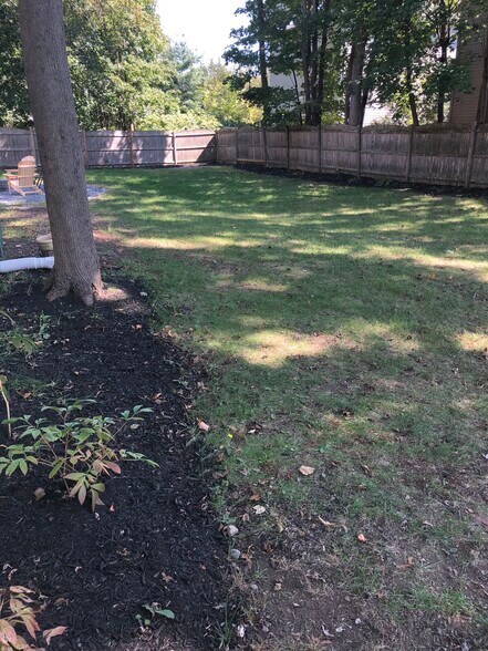 Backyard - 17 Court street