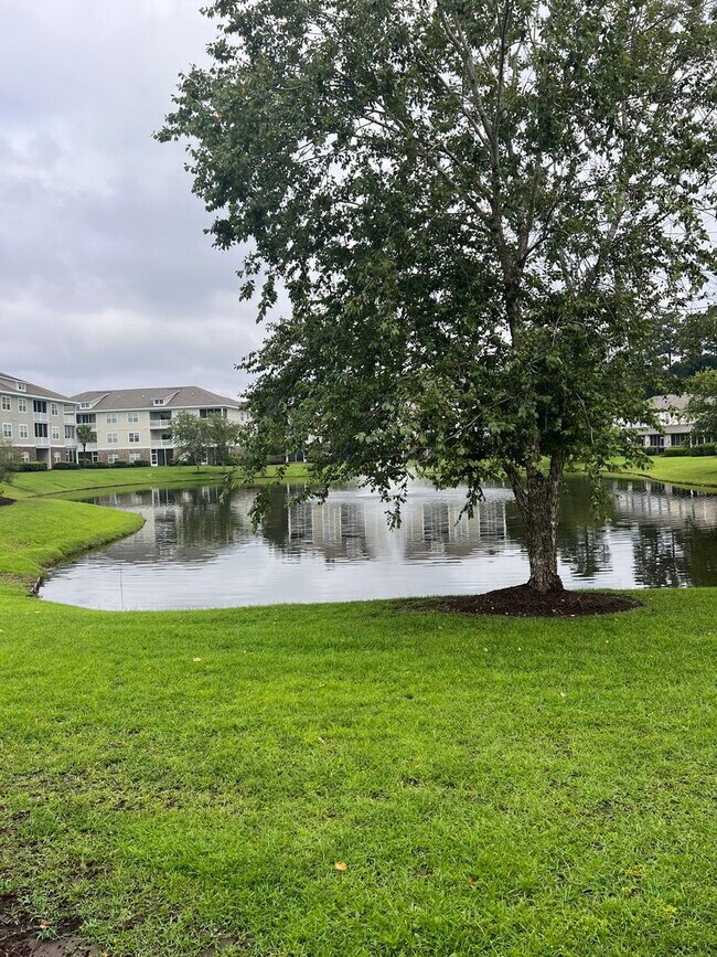 Building Photo - Spacious 3BR/3BA Townhome in Kiskadee Parke