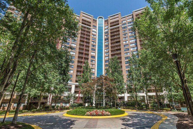 Primary Photo - 1 Bed 1 Bath - Rockville Condo - Completel...