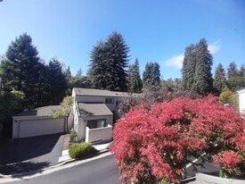 Quiet Condo complex - 321 Village Creek Rd