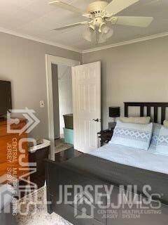 Building Photo - 29 Plainfield Ave