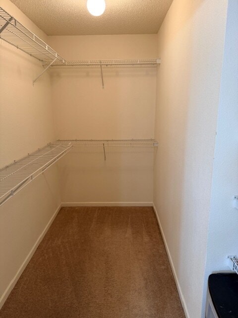 Building Photo - 2992 Sentiment Ln