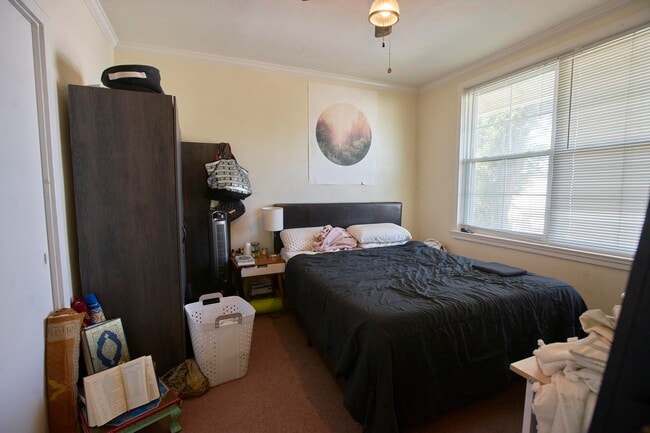 Building Photo - 7444 St Charles Ave