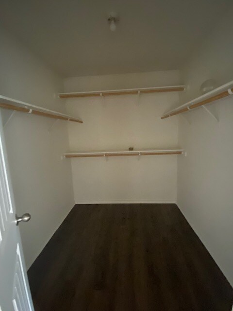 Building Photo - 3903 Jake Spoon Dr