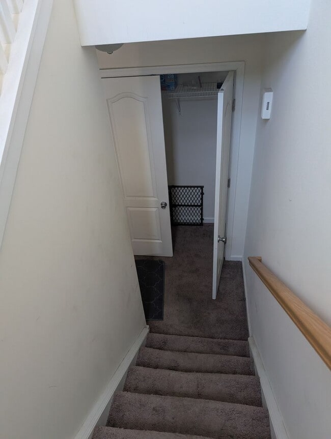 Building Photo - 327 Tribbitt St