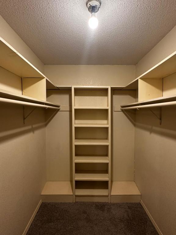 Building Photo - 2704 Ashley Ct