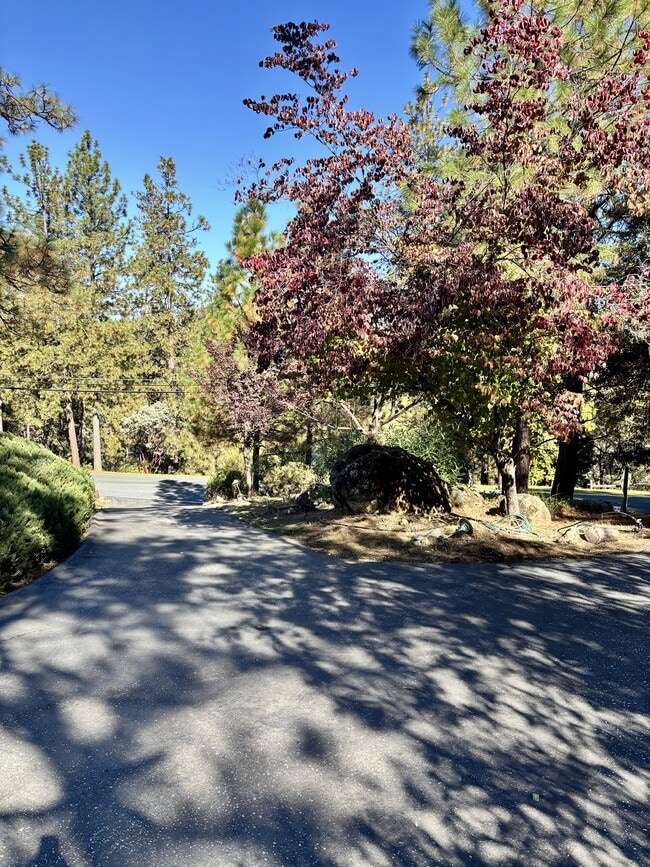 Building Photo - 16754 Aileen Way