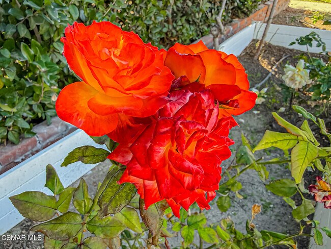 Building Photo - 2561 Heywood St