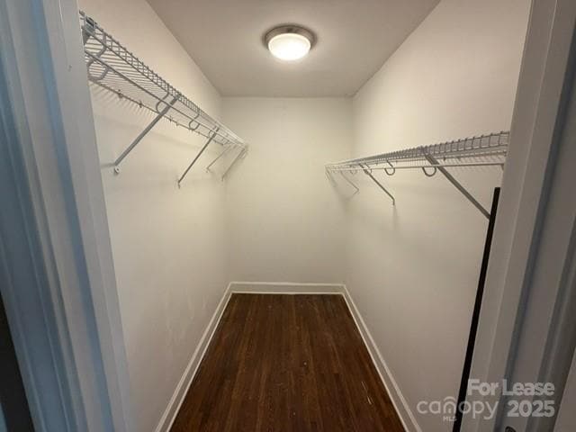 Building Photo - 1432 Winston Dr