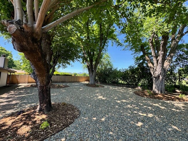 Building Photo - Remodeled home with a view