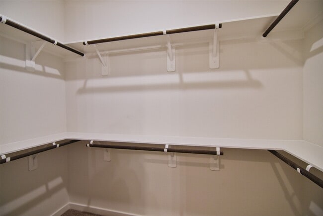 Building Photo - 3259 Loam Ln