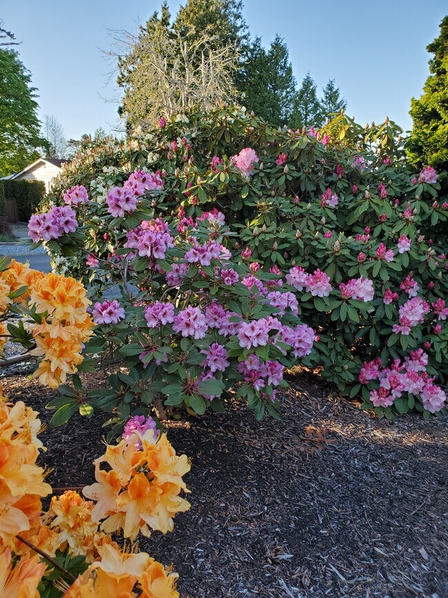 Front - 8120 Kitamat Way