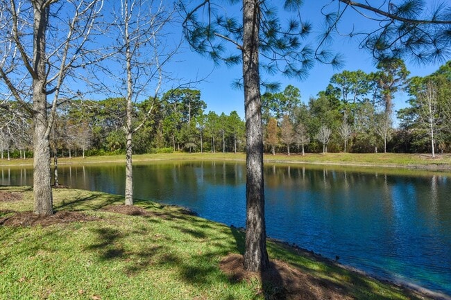 Building Photo - 8114 Villa Grande Ct