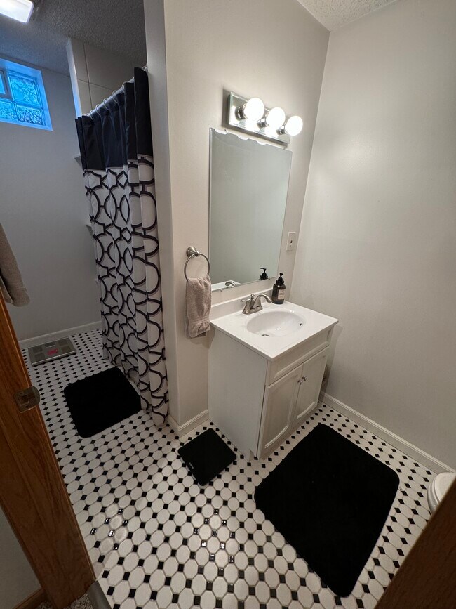 Basement Bathroom - 108 Bluwood Ave