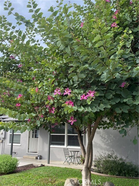 Building Photo - 656 N Vallejo Way