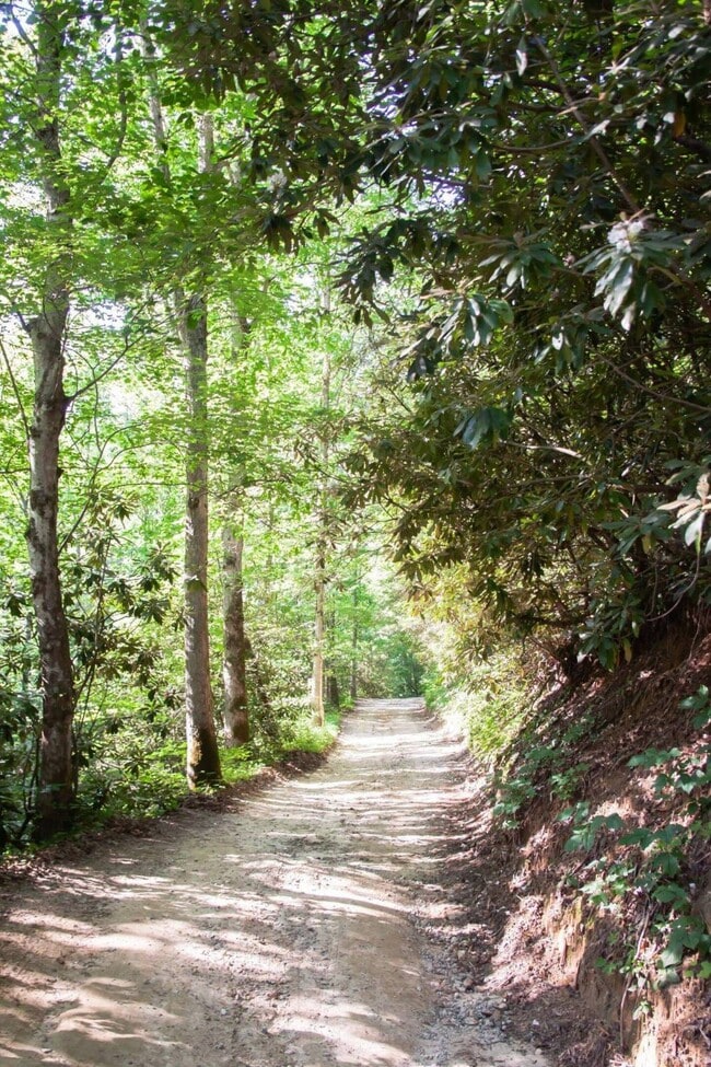 Building Photo - 251 Landwood Ln