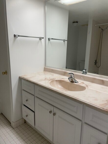 guest bathroom - 5501 Seminary Rd