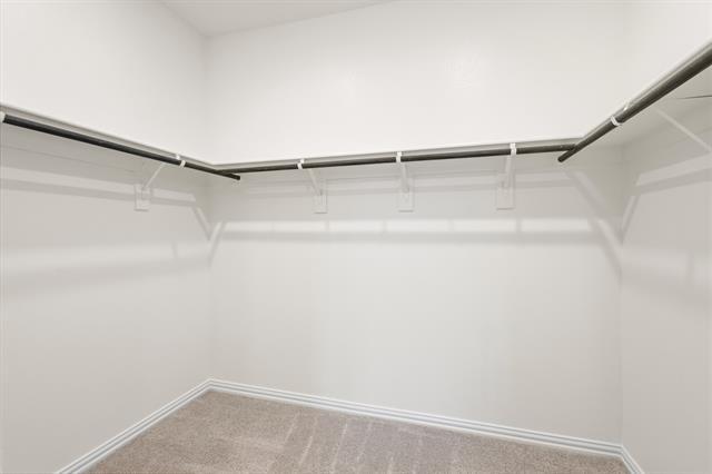 Building Photo - 206 Goosewood Dr