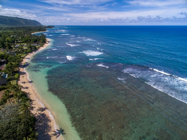 Building Photo - Hawaii Life Presents Mokuleia Beach House ...