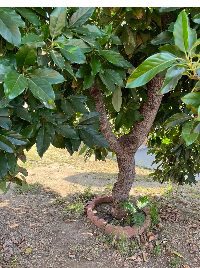 Building Photo - 15529 El Cajon St