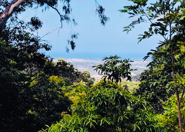 Building Photo - 99-1790-1790 Hoapono Pl